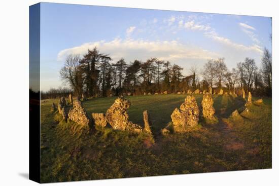 The Rollright Stones, a Bronze Age Stone Circle, Chipping Norton, Oxfordshire, Cotswolds, England-Stuart Black-Stretched Canvas