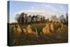 The Rollright Stones, a Bronze Age Stone Circle, Chipping Norton, Oxfordshire, Cotswolds, England-Stuart Black-Stretched Canvas
