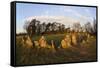 The Rollright Stones, a Bronze Age Stone Circle, Chipping Norton, Oxfordshire, Cotswolds, England-Stuart Black-Framed Stretched Canvas