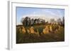 The Rollright Stones, a Bronze Age Stone Circle, Chipping Norton, Oxfordshire, Cotswolds, England-Stuart Black-Framed Photographic Print