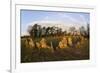 The Rollright Stones, a Bronze Age Stone Circle, Chipping Norton, Oxfordshire, Cotswolds, England-Stuart Black-Framed Photographic Print