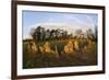 The Rollright Stones, a Bronze Age Stone Circle, Chipping Norton, Oxfordshire, Cotswolds, England-Stuart Black-Framed Photographic Print