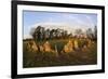 The Rollright Stones, a Bronze Age Stone Circle, Chipping Norton, Oxfordshire, Cotswolds, England-Stuart Black-Framed Photographic Print