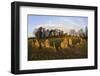 The Rollright Stones, a Bronze Age Stone Circle, Chipping Norton, Oxfordshire, Cotswolds, England-Stuart Black-Framed Photographic Print