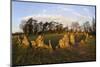 The Rollright Stones, a Bronze Age Stone Circle, Chipping Norton, Oxfordshire, Cotswolds, England-Stuart Black-Mounted Photographic Print