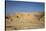 The Roman Amphitheatre, Caesarea, Israel, Middle East-Yadid Levy-Stretched Canvas