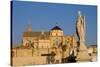 The Roman Bridge and the Mezquita Cathedral, Cordoba, Andalucia, Spain-Carlo Morucchio-Stretched Canvas