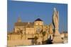 The Roman Bridge and the Mezquita Cathedral, Cordoba, Andalucia, Spain-Carlo Morucchio-Mounted Photographic Print