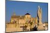 The Roman Bridge and the Mezquita Cathedral, Cordoba, Andalucia, Spain-Carlo Morucchio-Mounted Photographic Print