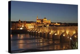 The Roman Bridge of Cordoba Is a Bridge in Cordoba, Andalusia, Southern Spain-David Bank-Stretched Canvas