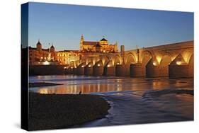 The Roman Bridge of Cordoba Is a Bridge in Cordoba, Andalusia, Southern Spain-David Bank-Stretched Canvas
