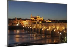 The Roman Bridge of Cordoba Is a Bridge in Cordoba, Andalusia, Southern Spain-David Bank-Mounted Photographic Print