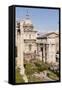 The Roman Forum (Foro Romano), Rome, Lazio, Italy, Europe-Julian Elliott-Framed Stretched Canvas