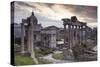 The Roman Forum (Foro Romano), Rome, Lazio, Italy, Europe-Julian Elliott-Stretched Canvas