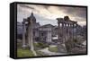 The Roman Forum (Foro Romano), Rome, Lazio, Italy, Europe-Julian Elliott-Framed Stretched Canvas