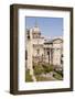 The Roman Forum (Foro Romano), Rome, Lazio, Italy, Europe-Julian Elliott-Framed Photographic Print