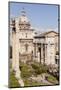 The Roman Forum (Foro Romano), Rome, Lazio, Italy, Europe-Julian Elliott-Mounted Photographic Print