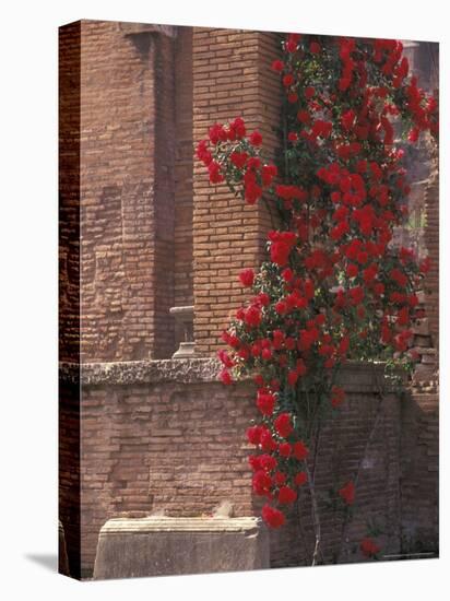 The Roman Forum in the Center of Ancient Rome, Italy-Connie Ricca-Stretched Canvas