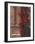 The Roman Forum in the Center of Ancient Rome, Italy-Connie Ricca-Framed Photographic Print