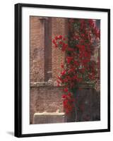 The Roman Forum in the Center of Ancient Rome, Italy-Connie Ricca-Framed Photographic Print