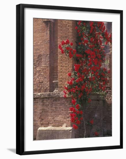 The Roman Forum in the Center of Ancient Rome, Italy-Connie Ricca-Framed Photographic Print