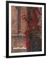 The Roman Forum in the Center of Ancient Rome, Italy-Connie Ricca-Framed Photographic Print