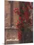 The Roman Forum in the Center of Ancient Rome, Italy-Connie Ricca-Mounted Photographic Print