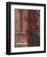 The Roman Forum in the Center of Ancient Rome, Italy-Connie Ricca-Framed Photographic Print