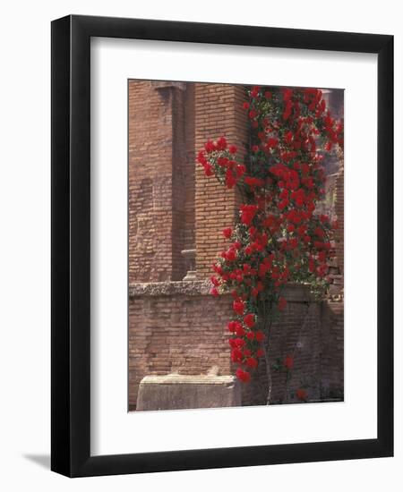 The Roman Forum in the Center of Ancient Rome, Italy-Connie Ricca-Framed Photographic Print