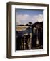 The Roman Forum, Unesco World Heritage Site, Rome, Lazio, Italy, Europe-Oliviero Olivieri-Framed Photographic Print