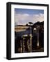 The Roman Forum, Unesco World Heritage Site, Rome, Lazio, Italy, Europe-Oliviero Olivieri-Framed Photographic Print