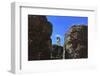 The Roman Forum.-Stefano Amantini-Framed Premium Photographic Print