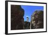 The Roman Forum.-Stefano Amantini-Framed Photographic Print