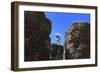 The Roman Forum.-Stefano Amantini-Framed Photographic Print