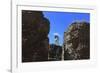 The Roman Forum.-Stefano Amantini-Framed Photographic Print