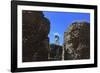 The Roman Forum.-Stefano Amantini-Framed Photographic Print