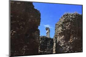 The Roman Forum.-Stefano Amantini-Mounted Photographic Print