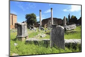 The Roman Forum.-Stefano Amantini-Mounted Photographic Print