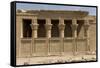 The Roman Mammisi, Dendera Necropolis, Qena, Nile Valley, Egypt, North Africa, Africa-Tony Waltham-Framed Stretched Canvas