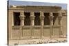 The Roman Mammisi, Dendera Necropolis, Qena, Nile Valley, Egypt, North Africa, Africa-Tony Waltham-Stretched Canvas
