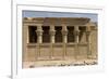 The Roman Mammisi, Dendera Necropolis, Qena, Nile Valley, Egypt, North Africa, Africa-Tony Waltham-Framed Photographic Print