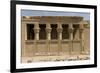 The Roman Mammisi, Dendera Necropolis, Qena, Nile Valley, Egypt, North Africa, Africa-Tony Waltham-Framed Photographic Print