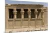 The Roman Mammisi, Dendera Necropolis, Qena, Nile Valley, Egypt, North Africa, Africa-Tony Waltham-Mounted Photographic Print