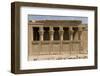 The Roman Mammisi, Dendera Necropolis, Qena, Nile Valley, Egypt, North Africa, Africa-Tony Waltham-Framed Photographic Print