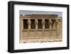 The Roman Mammisi, Dendera Necropolis, Qena, Nile Valley, Egypt, North Africa, Africa-Tony Waltham-Framed Photographic Print