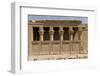 The Roman Mammisi, Dendera Necropolis, Qena, Nile Valley, Egypt, North Africa, Africa-Tony Waltham-Framed Photographic Print