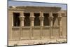 The Roman Mammisi, Dendera Necropolis, Qena, Nile Valley, Egypt, North Africa, Africa-Tony Waltham-Mounted Photographic Print