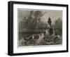 The Roman Rocks Lighthouse, Simon's Bay, Cape of Good Hope-null-Framed Giclee Print