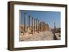 The Roman ruins with a long colonnade road, Jerash, Jordan, Middle East-Francesco Fanti-Framed Photographic Print