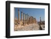The Roman ruins with a long colonnade road, Jerash, Jordan, Middle East-Francesco Fanti-Framed Photographic Print